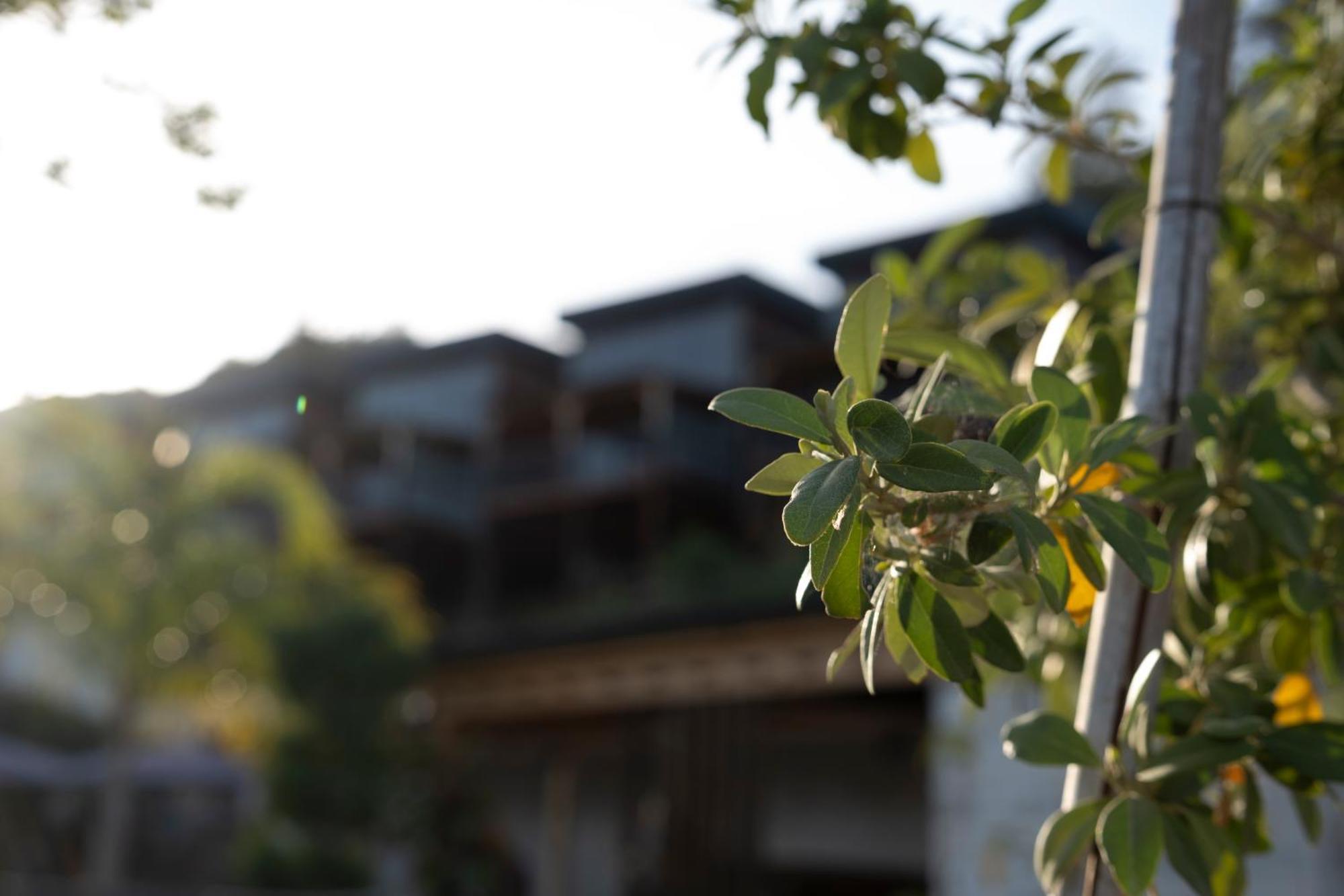 La Veranda Villas Kumluca Exterior foto